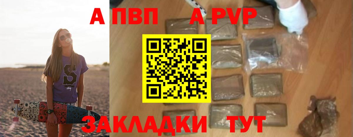 Alfa_PVP СК Курчалой