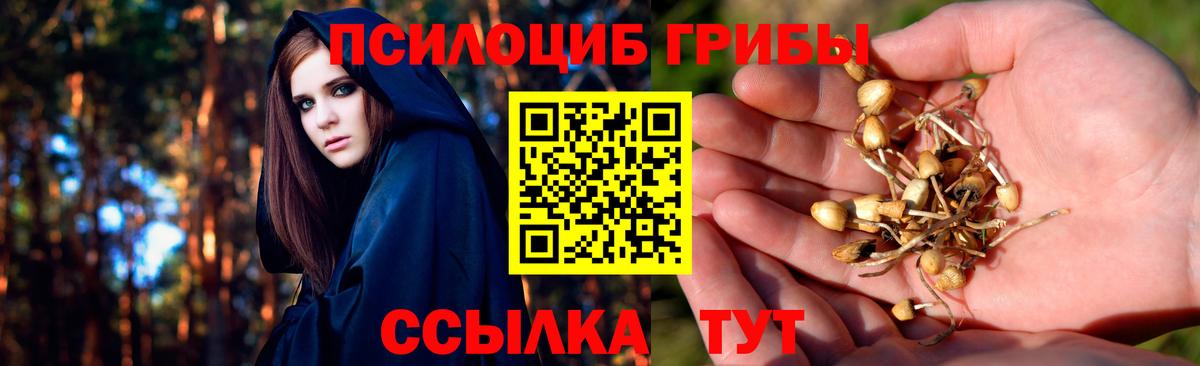 Псилоцибиновые грибы Magic Shrooms Курчалой