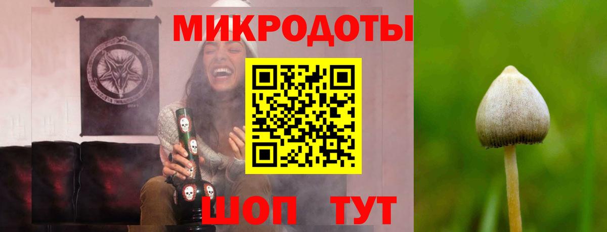 Галлюциногенные грибы MAGIC MUSHROOMS  Вход с VPN  Курчалой 